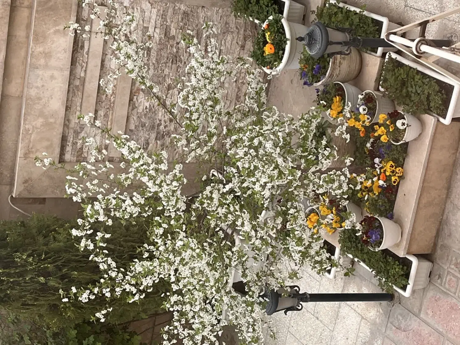 ویلایی دوبلکس۳۰۰متر بازسازی شده شیک