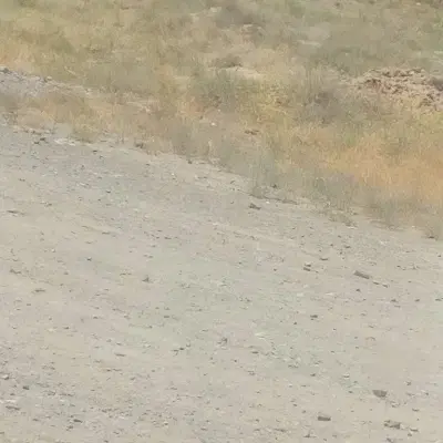 ۲۳۰متر زمین نزدیک به محدوده