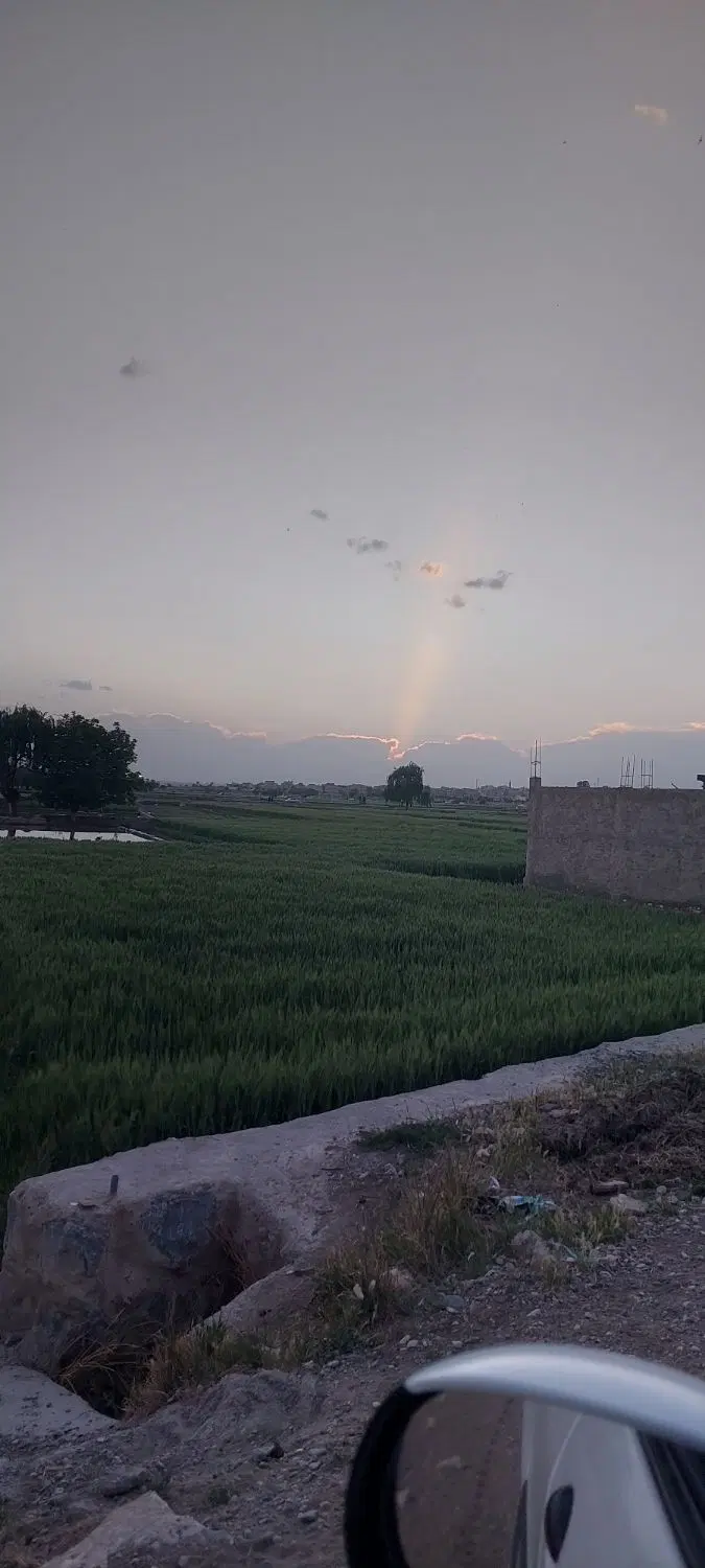 باغ