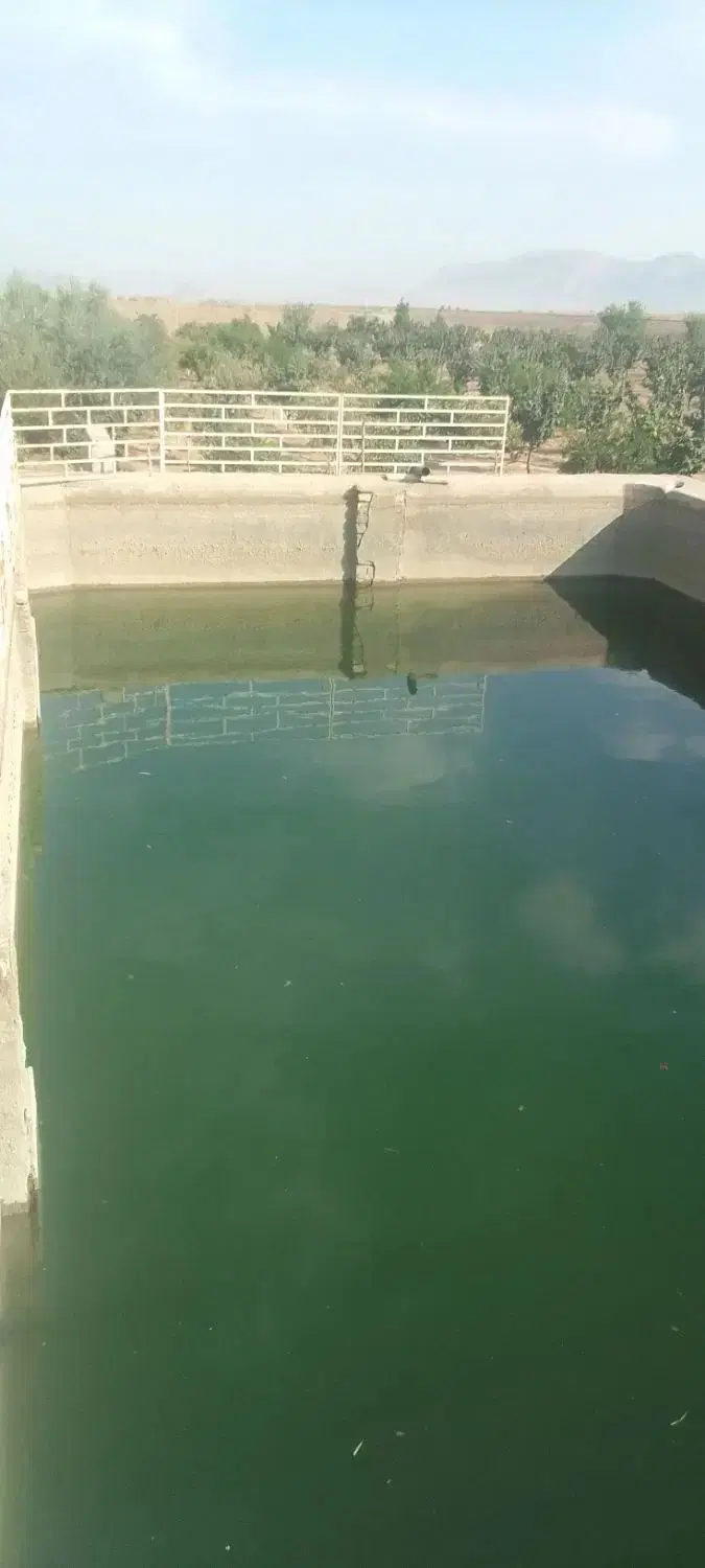 باغ