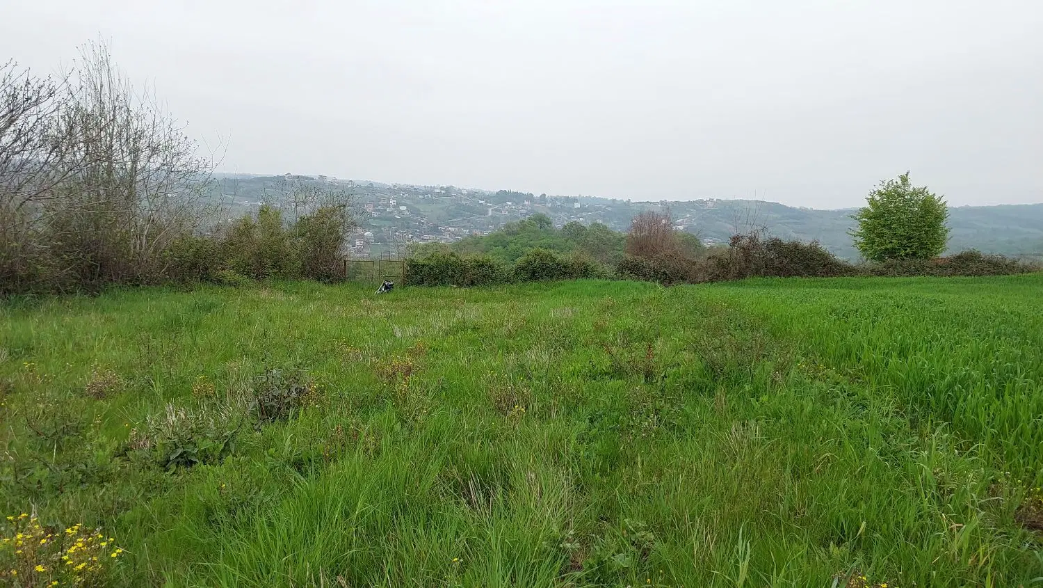 زمین باغی مناسب ساخت خونه باغ
