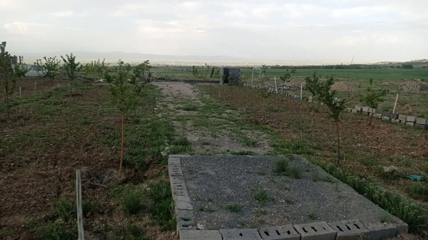 زمین باغی۴ساله.سیمین زاغه