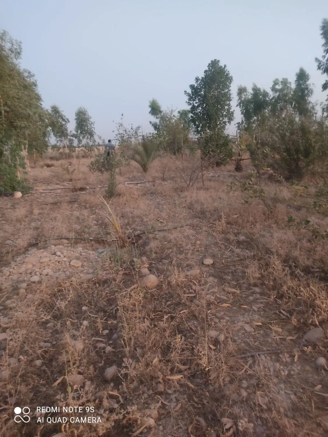 فروش482متر باغ سند تک برگ روستای امام رضا