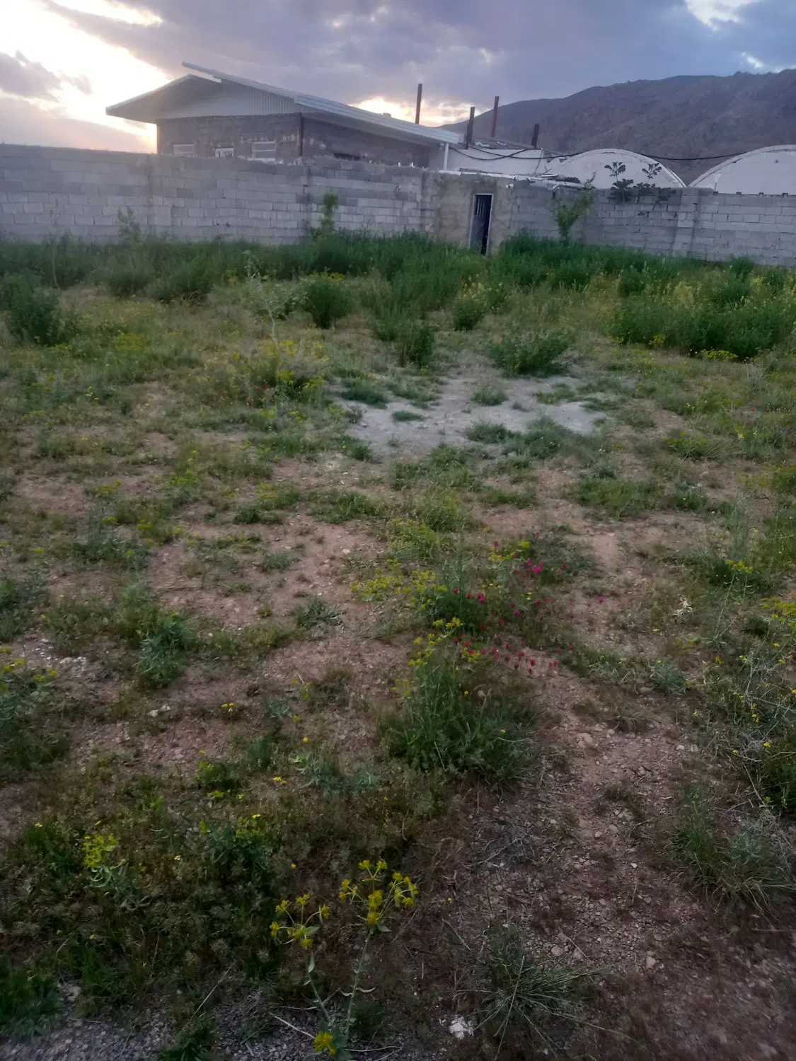 زمین درالوار