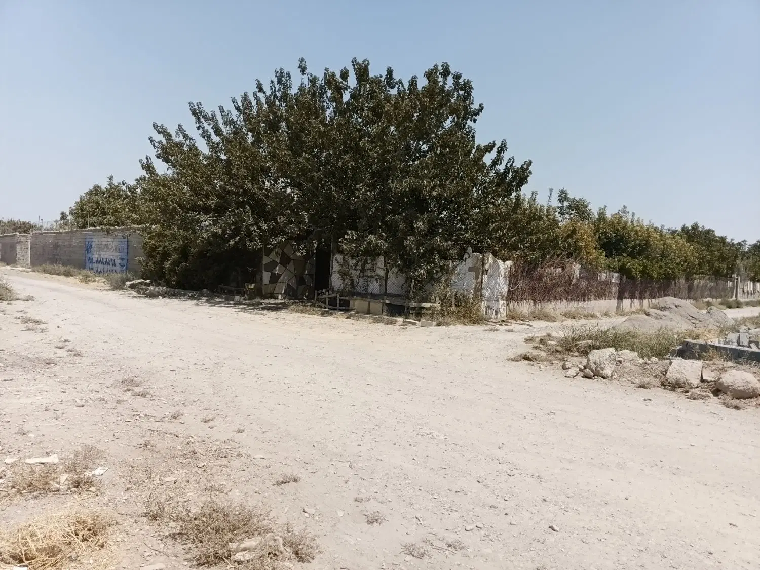 زمین ۱۲۰۰ متری سند تک برگ