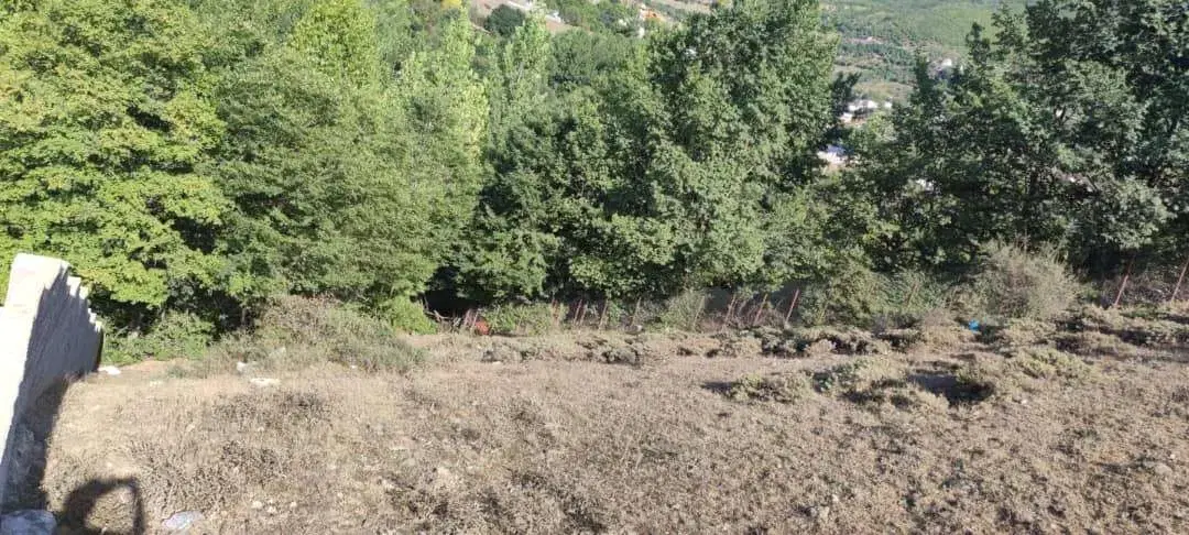 زمین در منطقه گردشگری میخساز