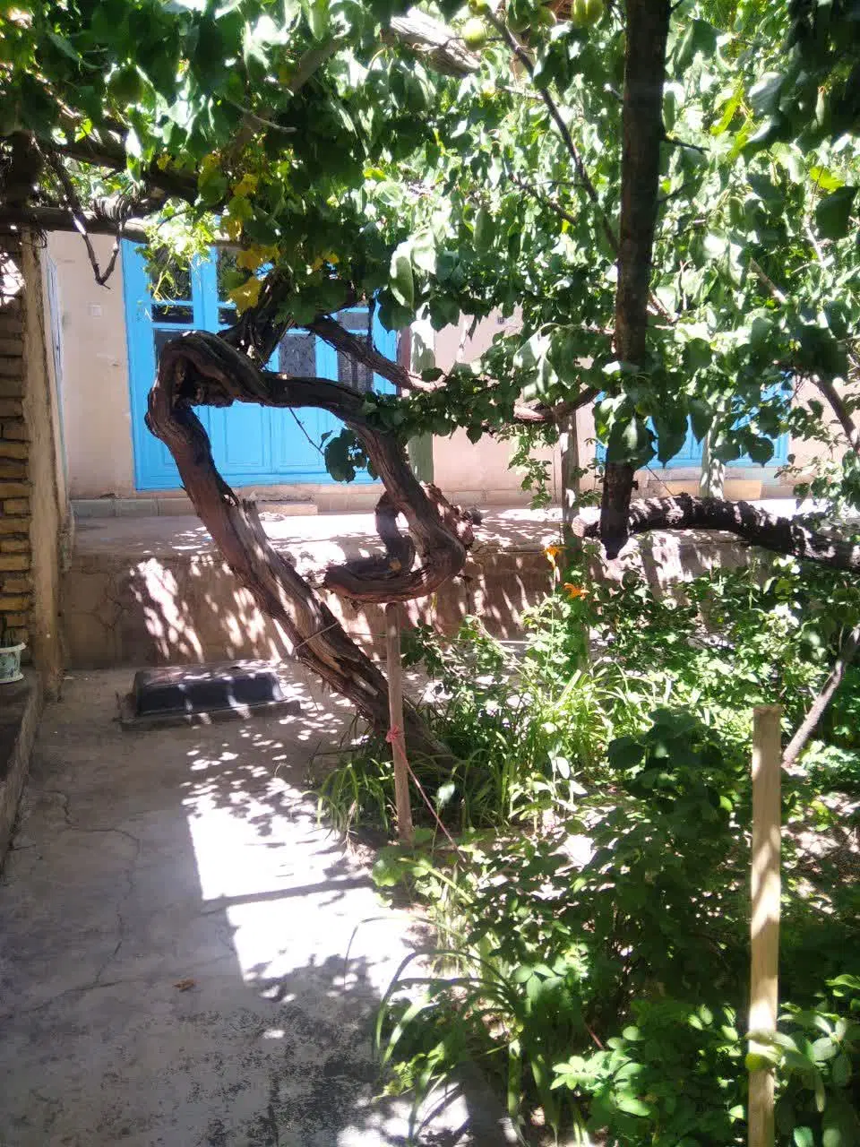 فروش ملک با موقعیت تجاری مسکونی