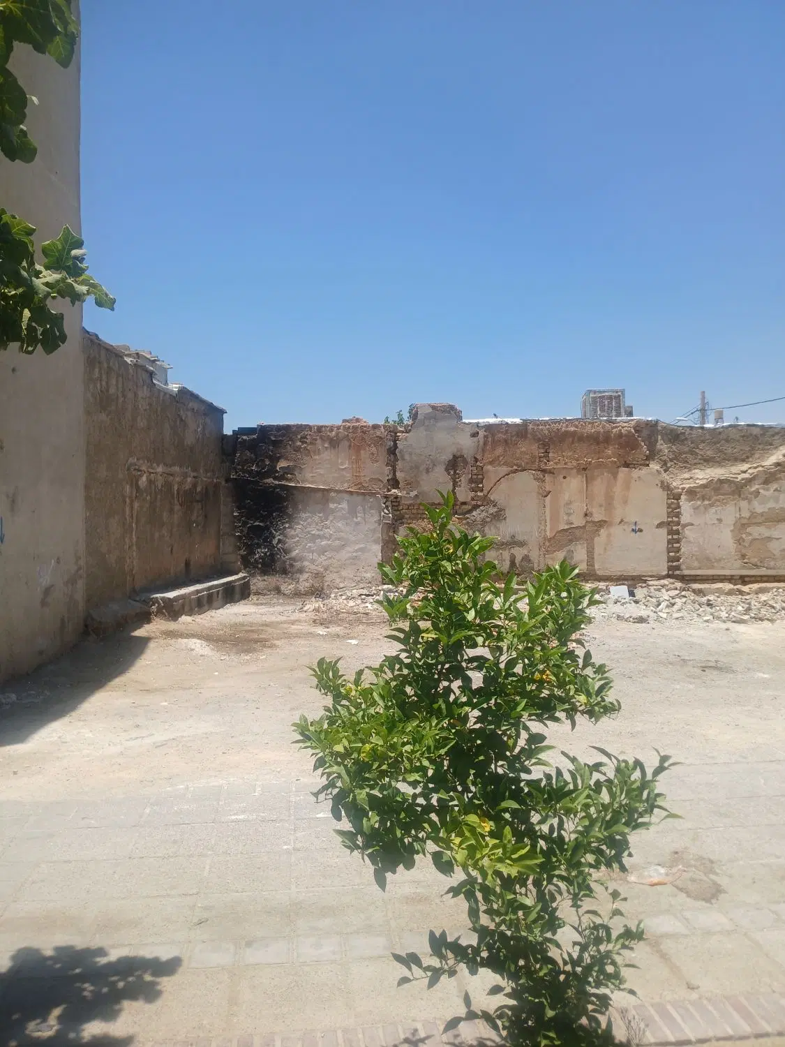 زمین تجاری