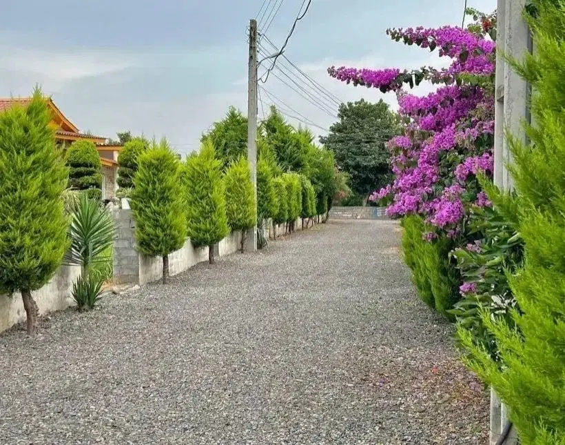 زمین ۲۲۰ متری کوهپایه‌ای تک برگ