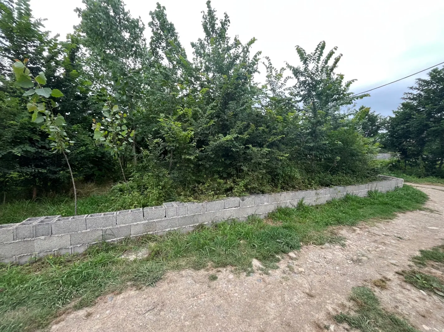 500 متر مسکونی سند تک برگ