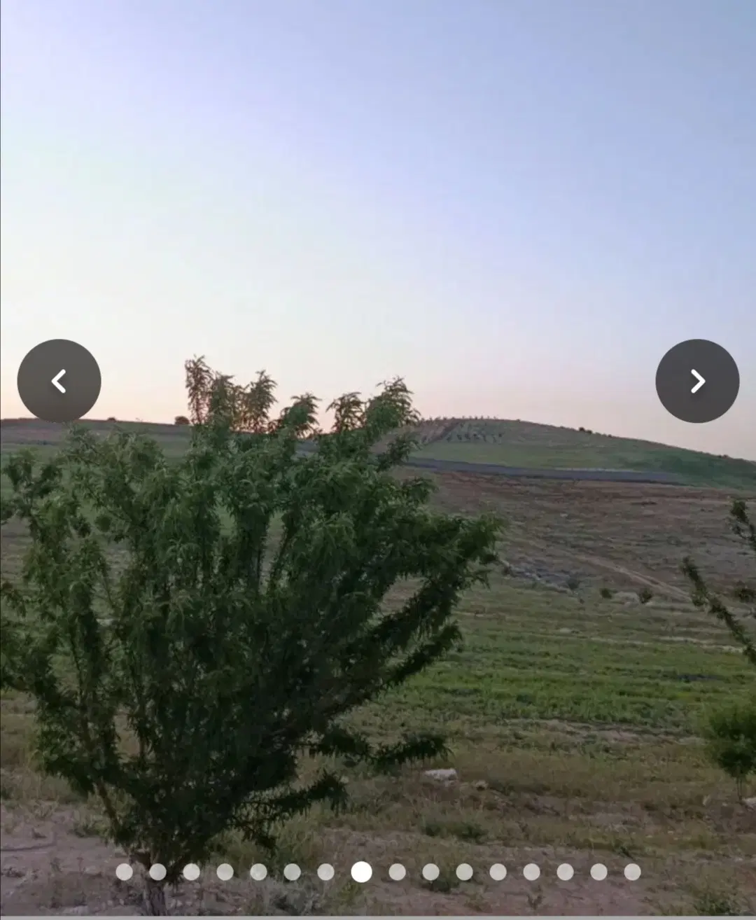 فروش باغ هفت برم