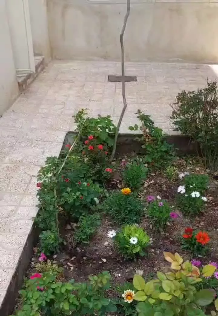 اجاره کوتاه مدت