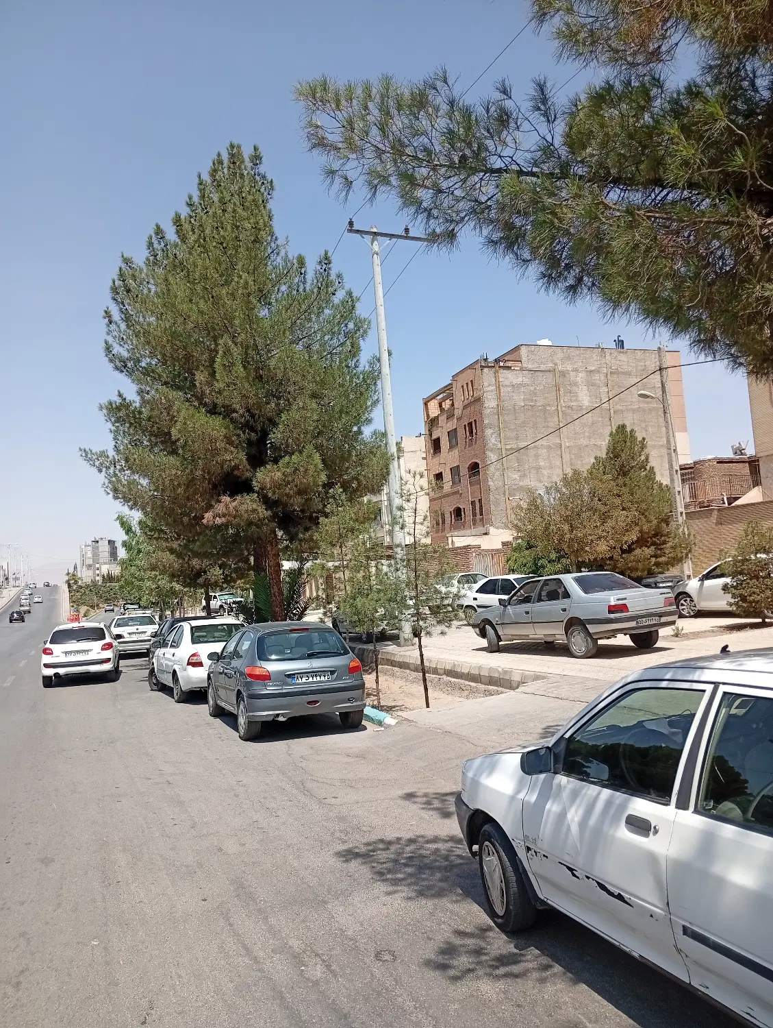 اجاره آپارتمان خیابان مصلی