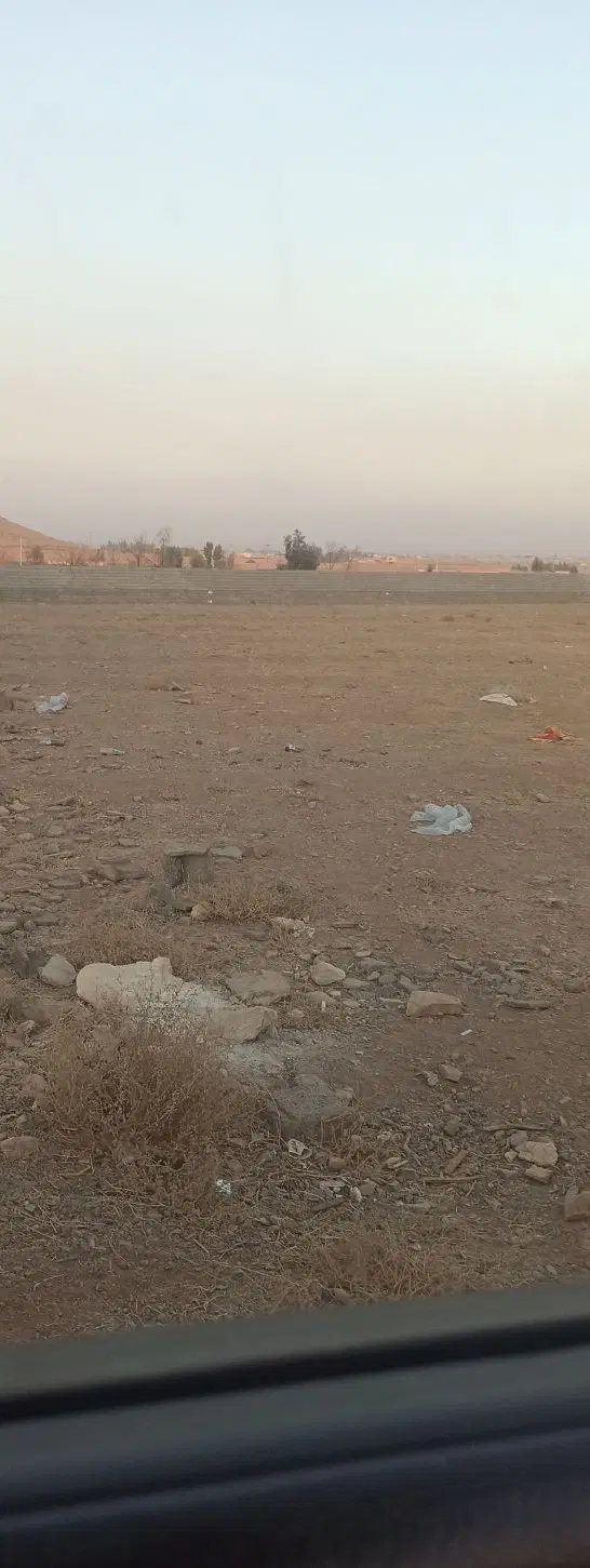 زمین باغی زردنجان