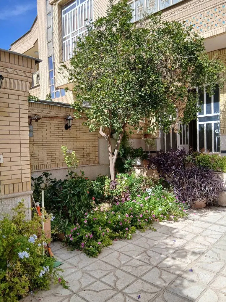 اجاره مسکونی طبقه همکف
