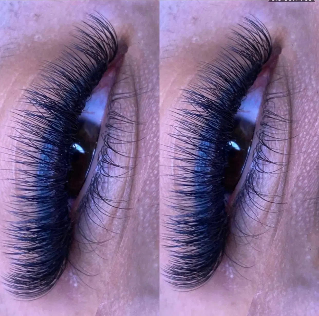 اجاره اتاق و تخت مژه در آموزشگاه آرایشگری