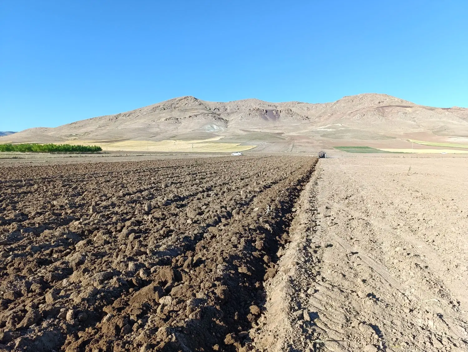 اجاره ۲هکتار زمین کشاورزی برای کاشت سیر