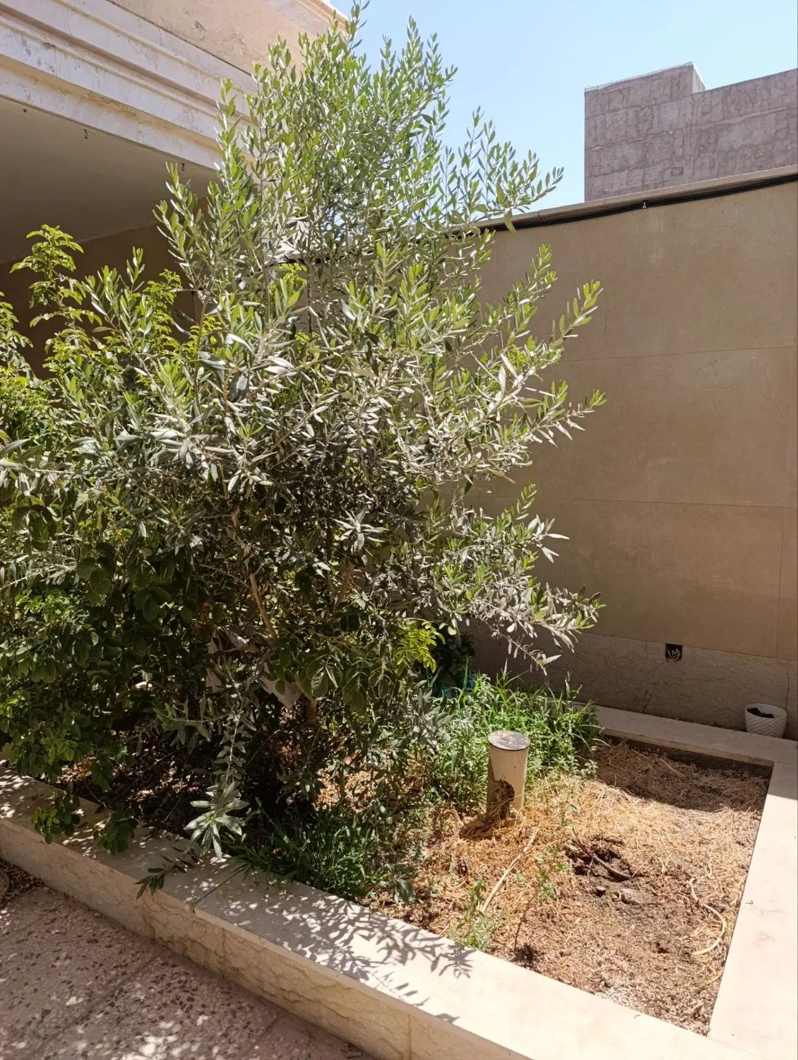 خانه ویلای