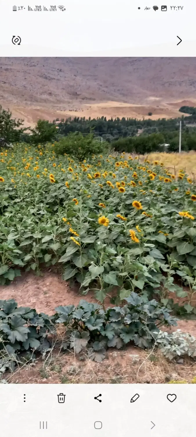 فروش یک قطعه زمین باغ در روستای حیدرآباد(بادآور)