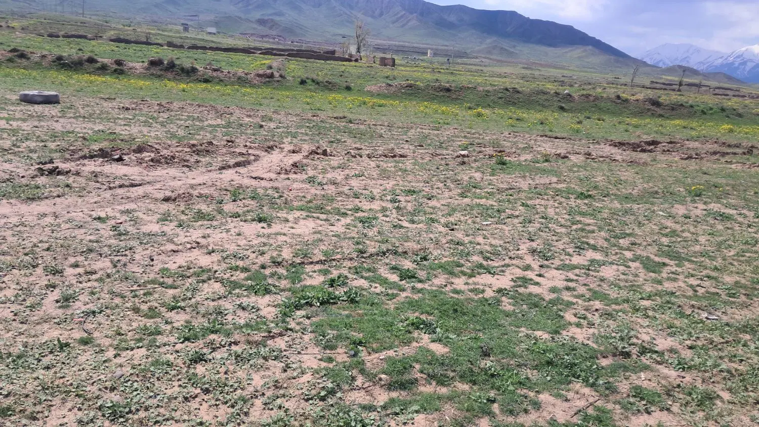 فروش زمین خالی بر جاده آسفالت روستایی وهرم
