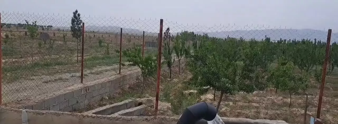 فوری فوری زمین باغ میوه با سهمیه آب با اصالت