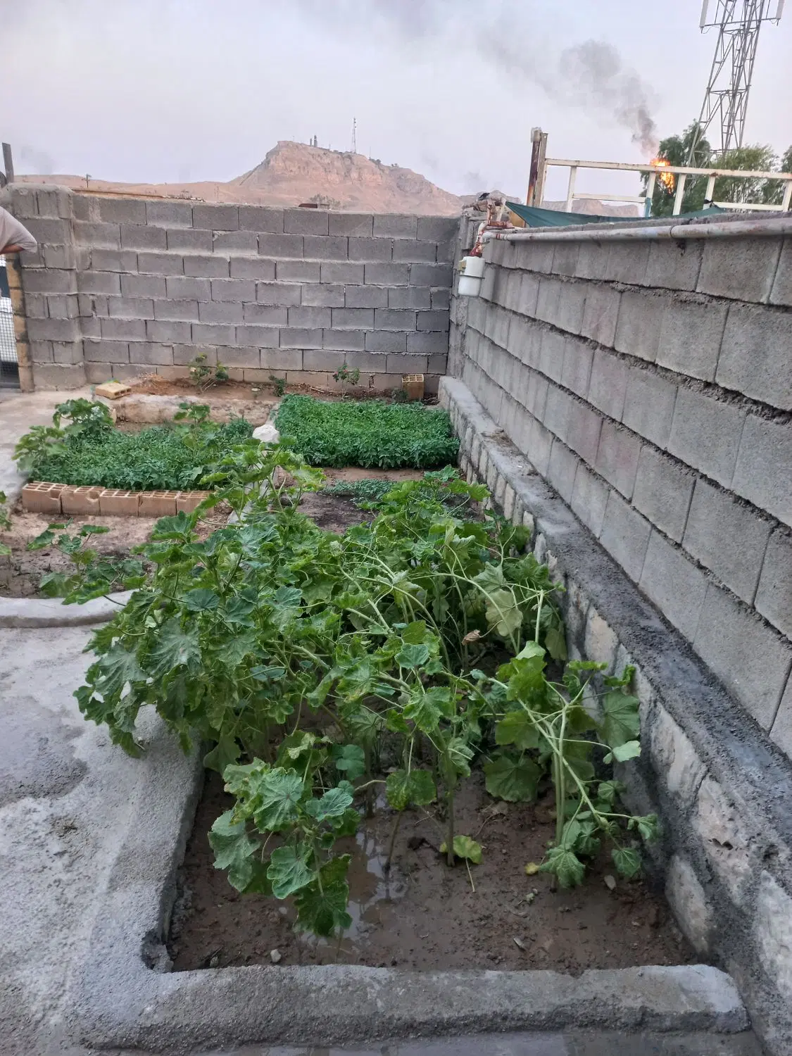 فروش،منزل مسکونی