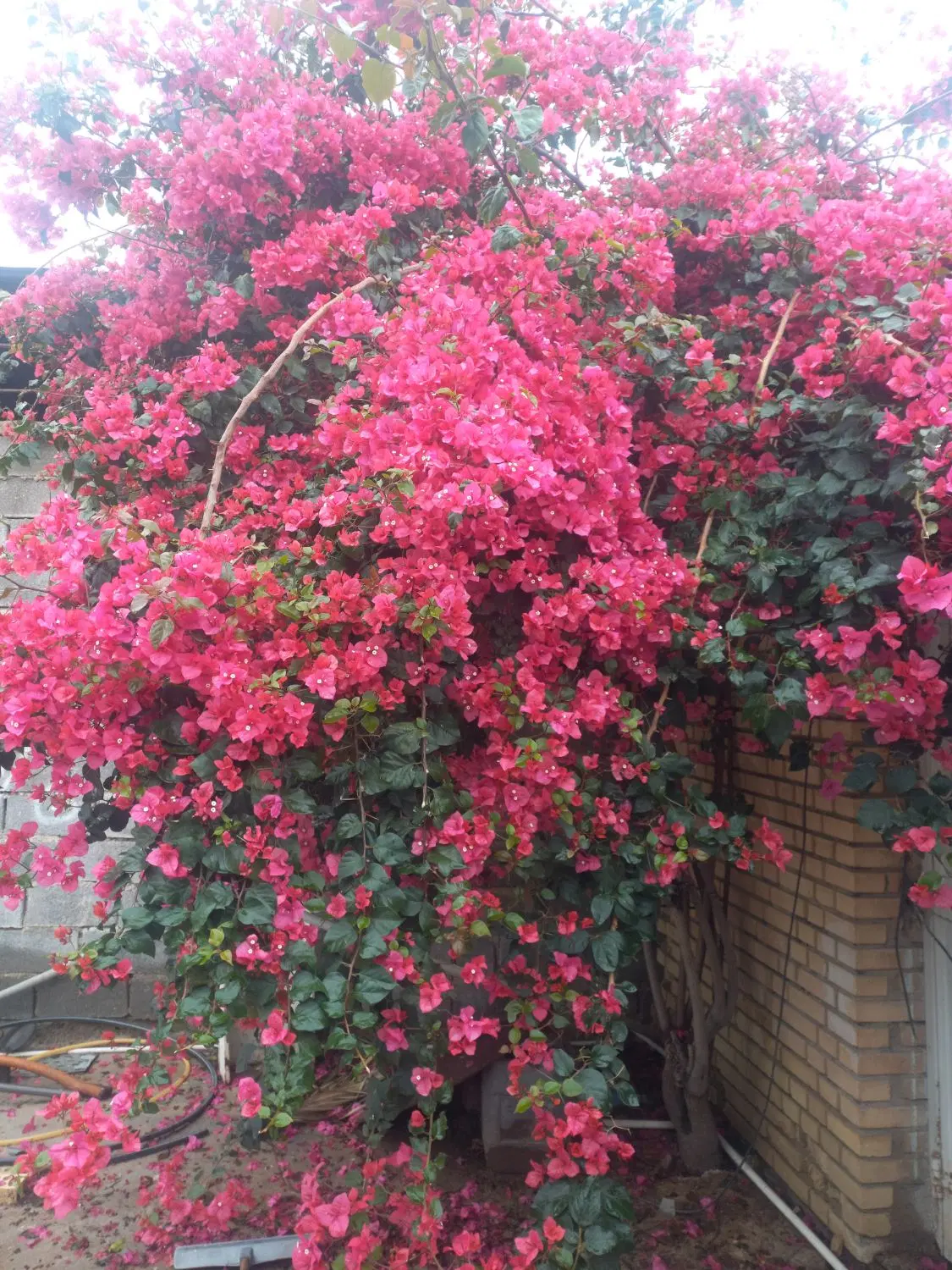 فروش زمین