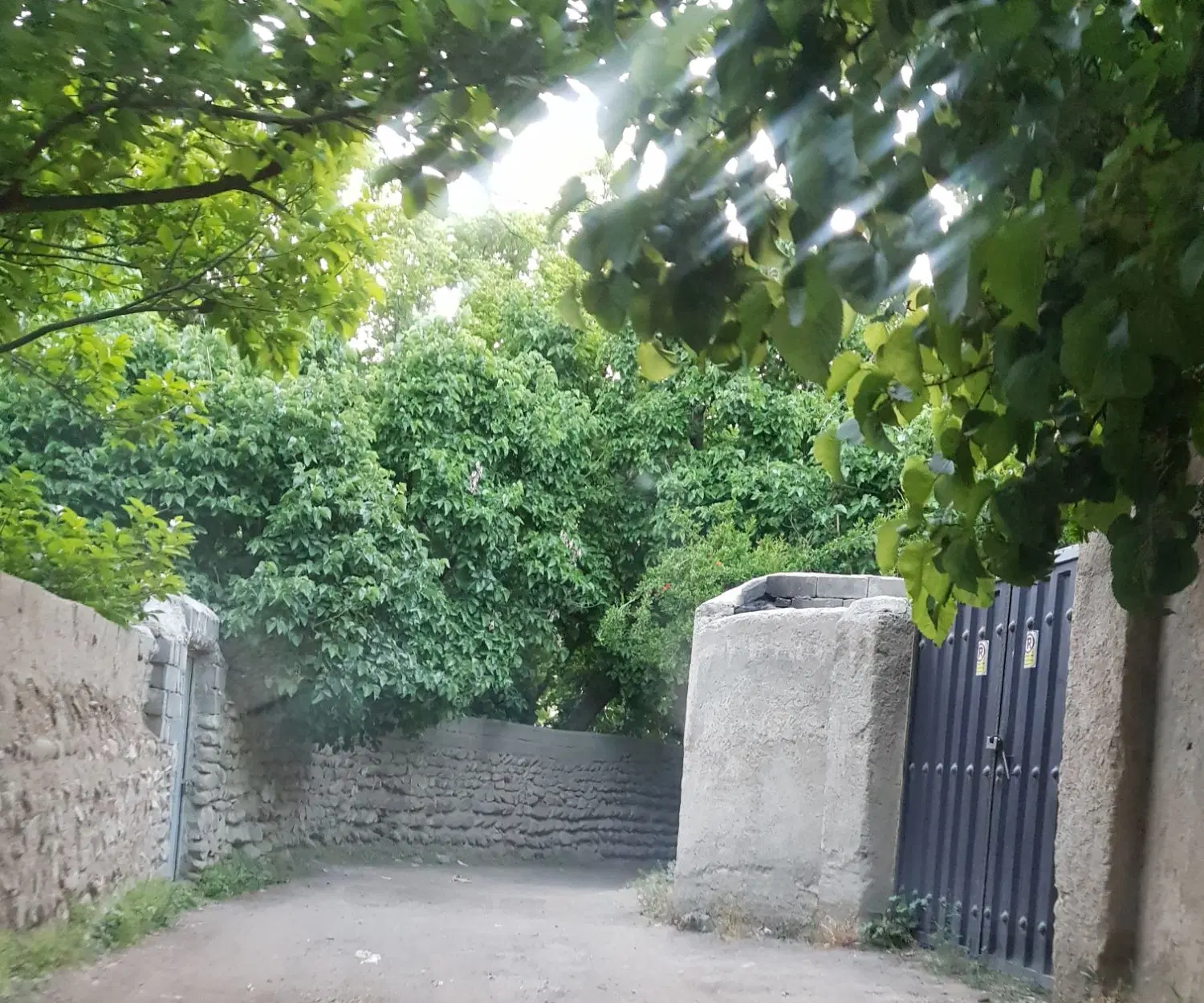 یک قطعه زمین در رضوانشهر