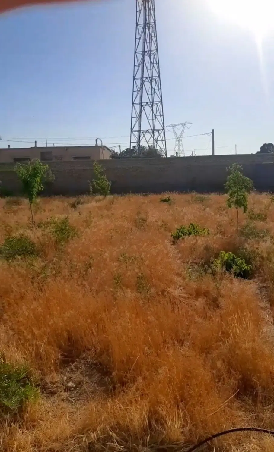 فروش ملک باغی