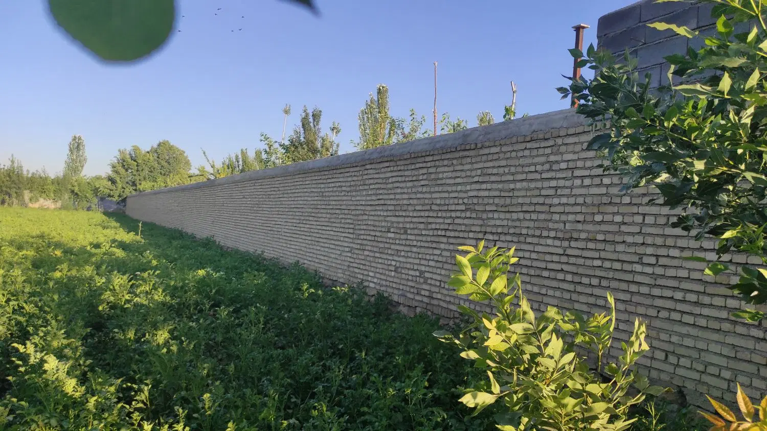 فروش باغ روستای گراچغا
