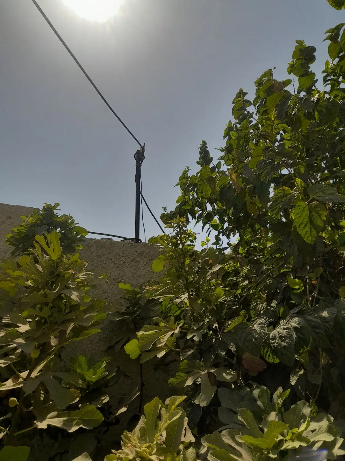 فروش منزل دوبلکس مقاومت۷ ‌‌‌‌‌‌