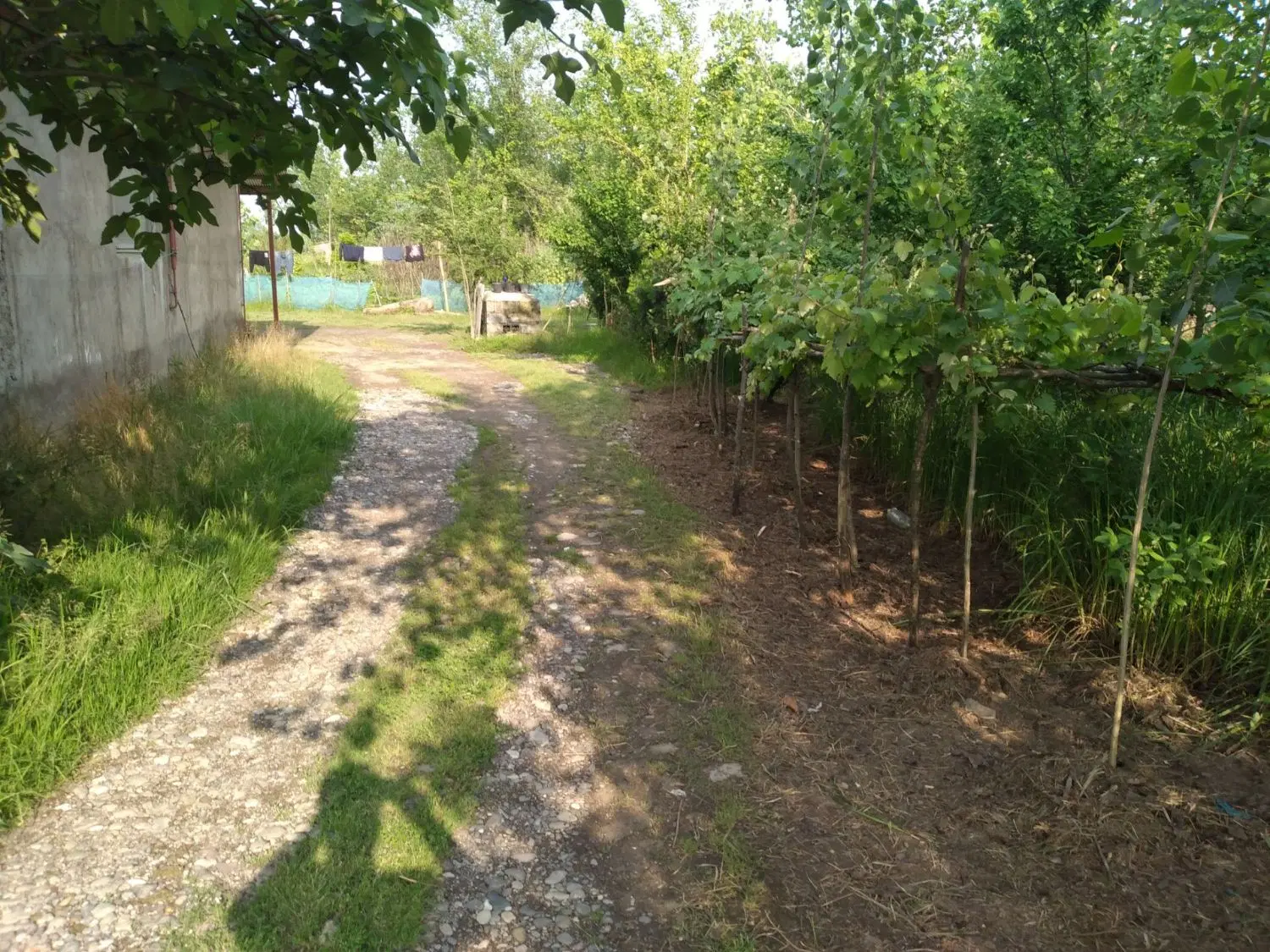 خونه ویلایی جای دنج