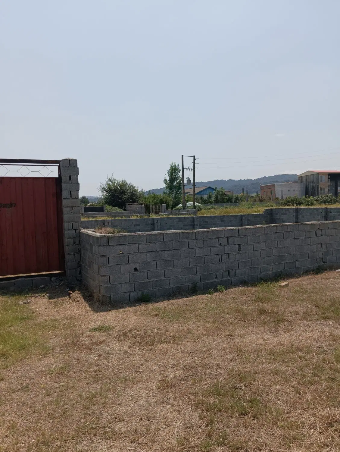 ملک نزدیک جنگل بلیران