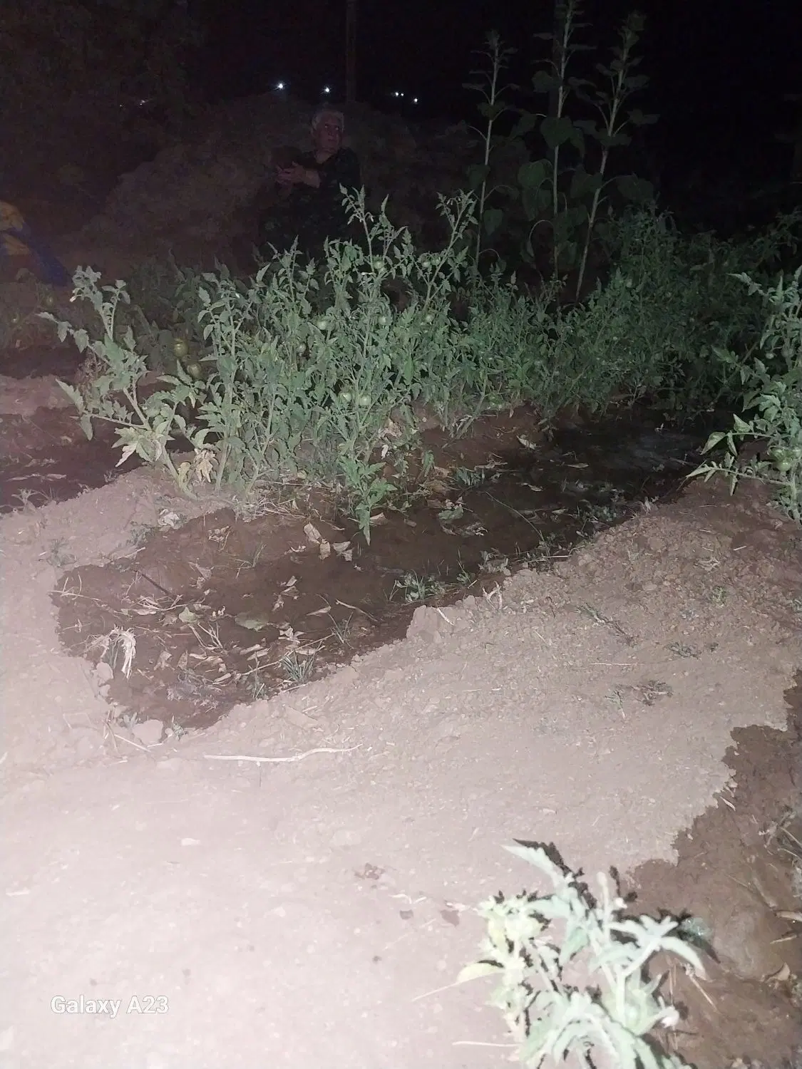 زمین فروشی