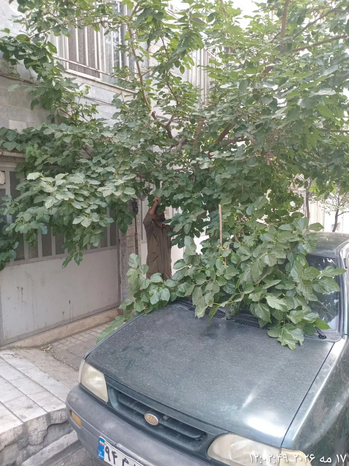 زمین مسکونی