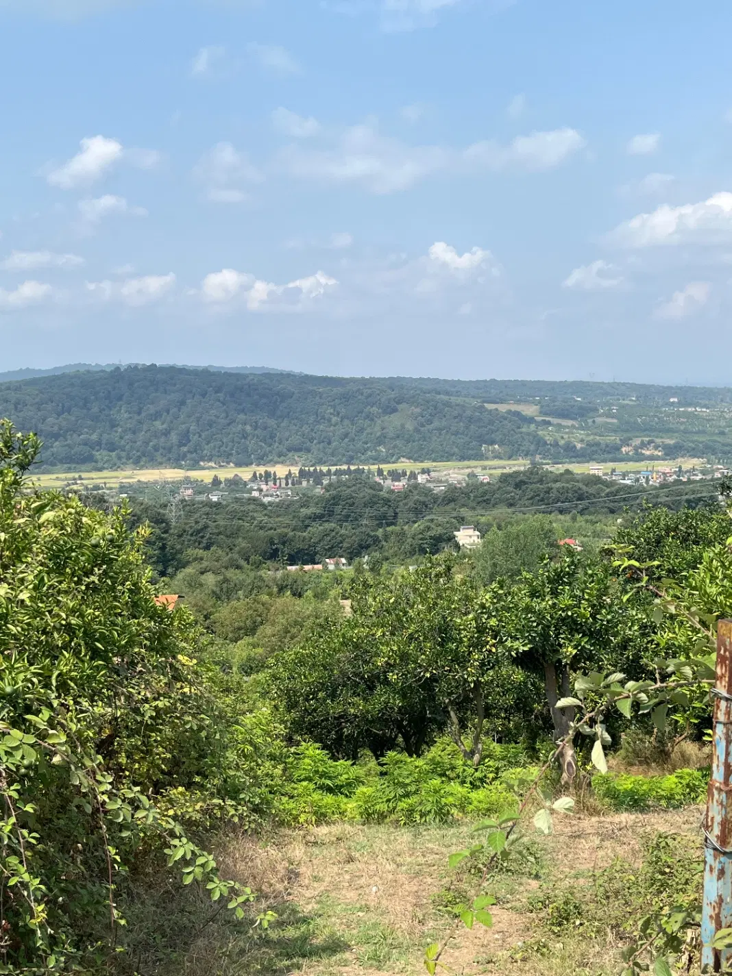 زمین