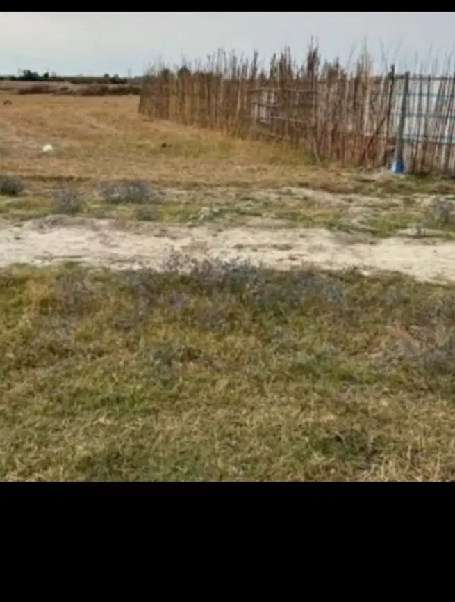 فروش زمین گشاورزی