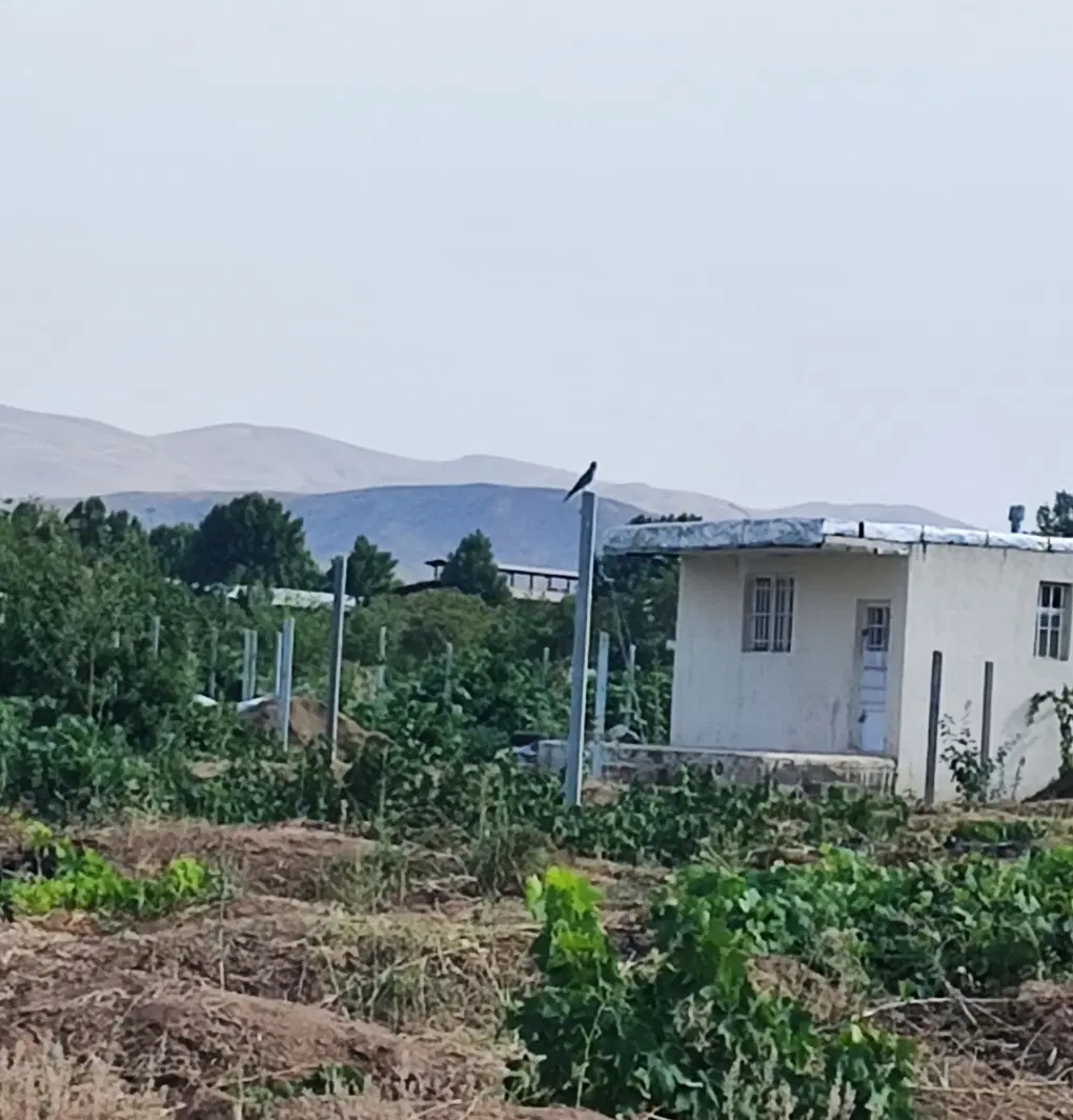 باغ نمازگاه یک‌جریب