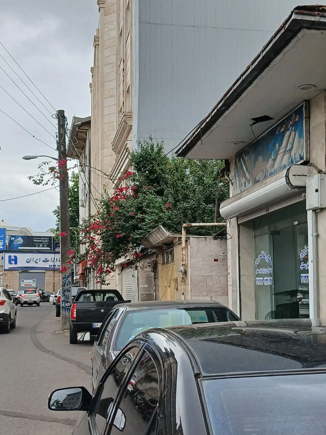 مغازه