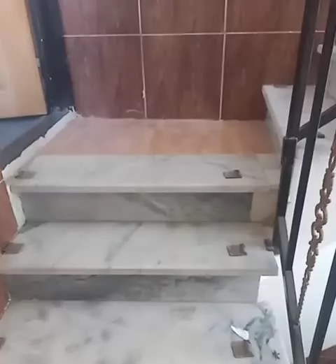 تک واحدی