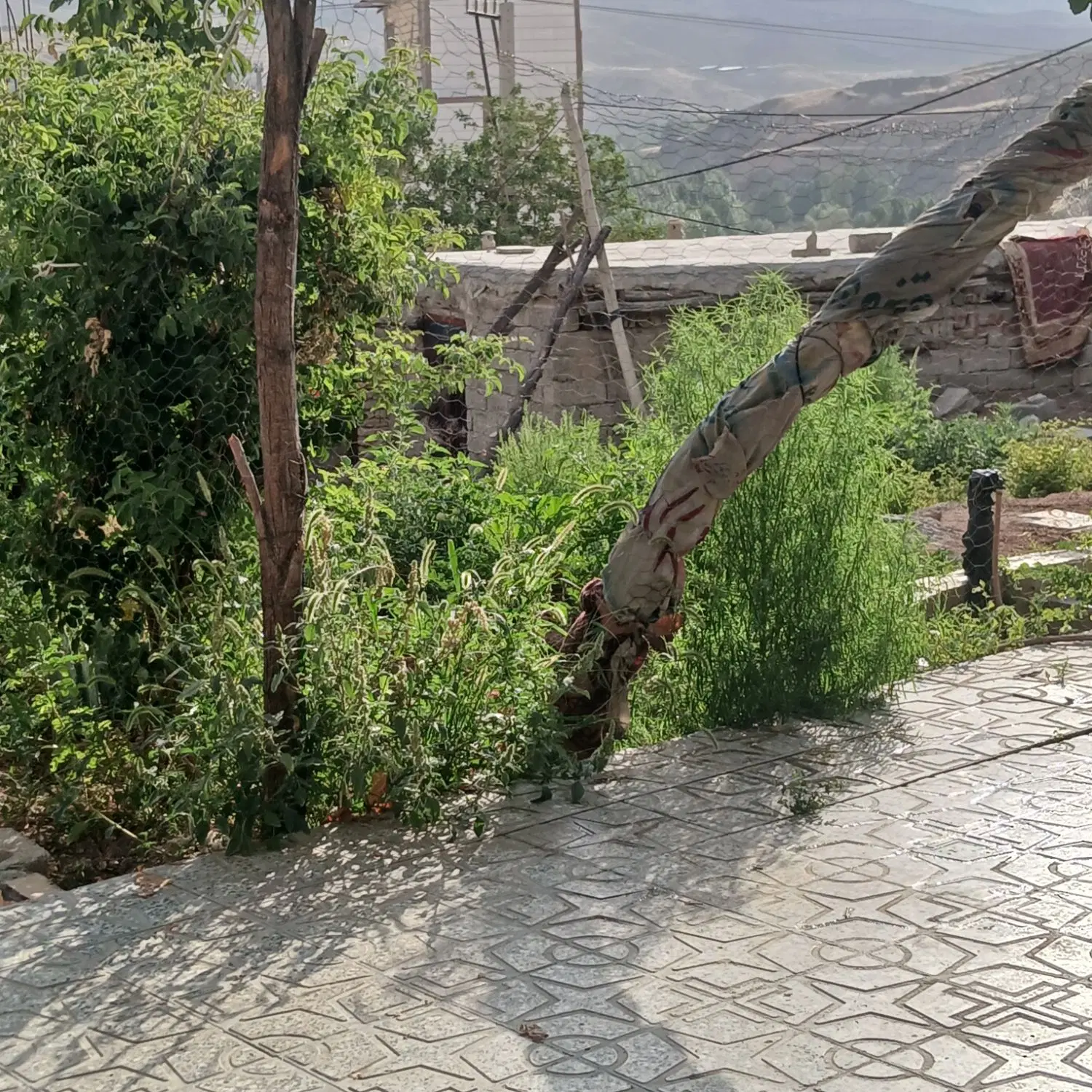منزل همراه قایق سواری رفتینگ