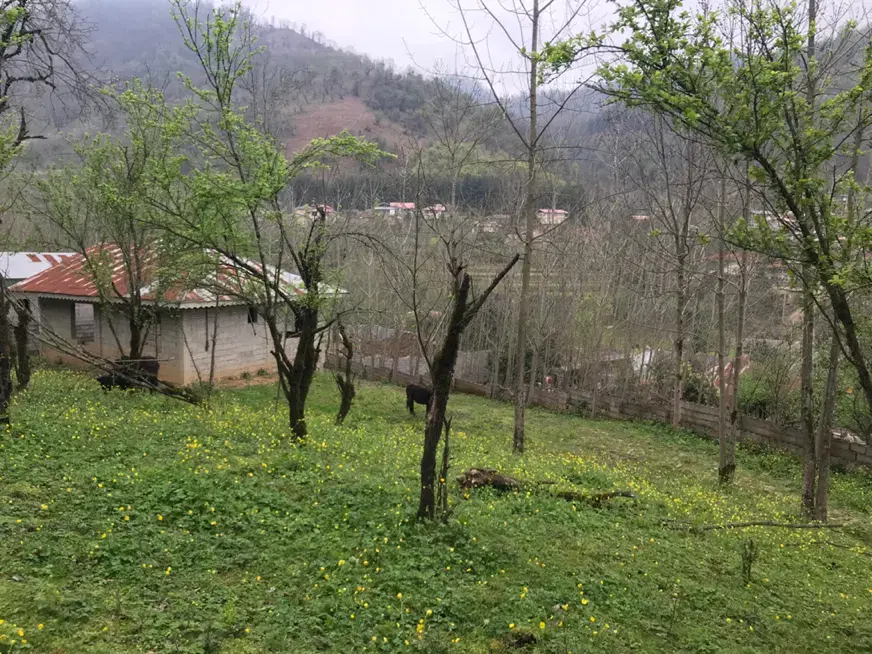 ۶۰۰ متر کامل مسکونی
