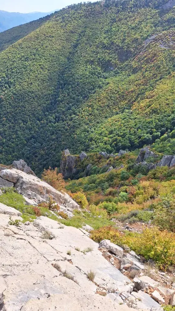 زمین مسکونی در روستای زیبای وطن