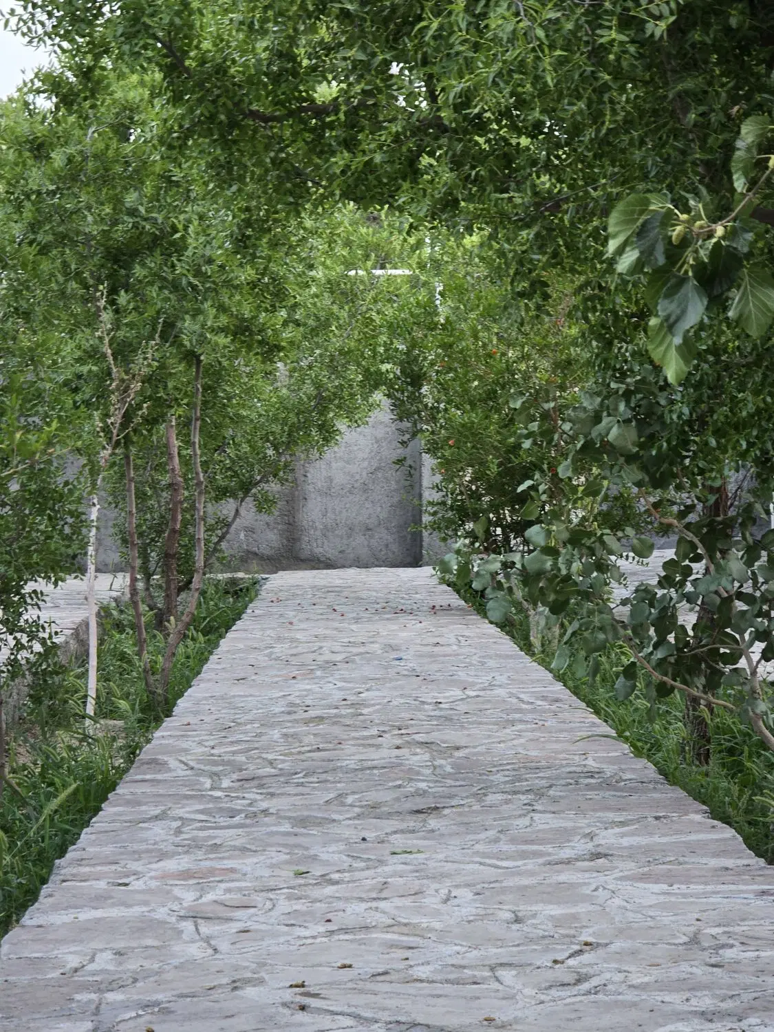 باغ ویلا فول نزدیک شهر