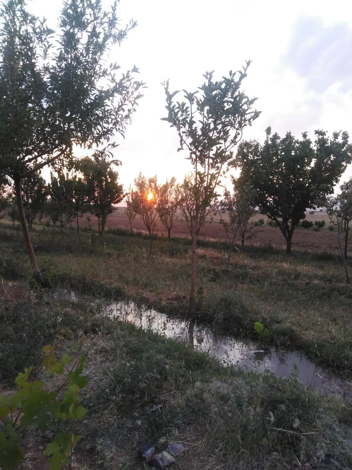 فروش قطعات زمین کشاورزی مناسب باغ ویلا