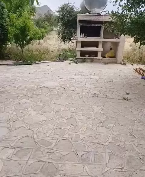 باع دربست اجاره ای