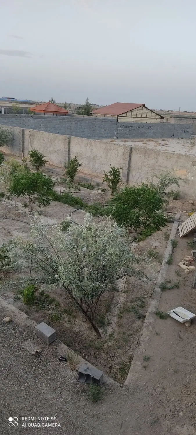 باغ برای ساختو ساز