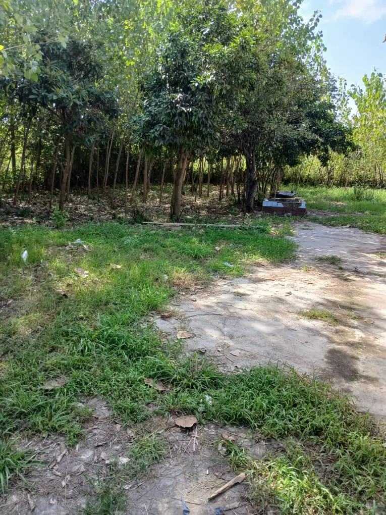 باغ ویلای سنتی