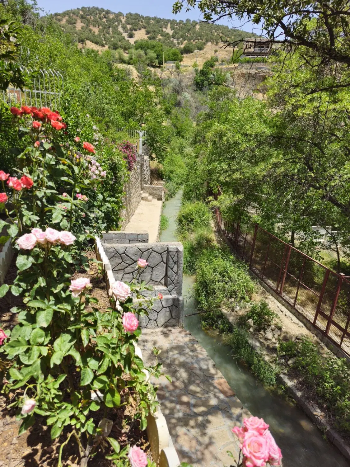 اجاره کلبه سوییت