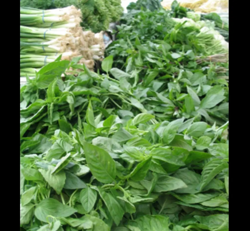 واگذاری غرفه سبزی در هایپر میوه ملل شاهین شهر